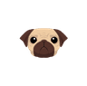 pugjs